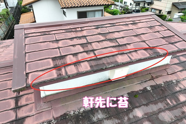 可児市桜ケ丘 　軒先に苔