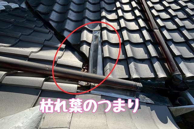 多治見市虎渓山　雨樋が途中でなくなっている、枯れ葉つまり