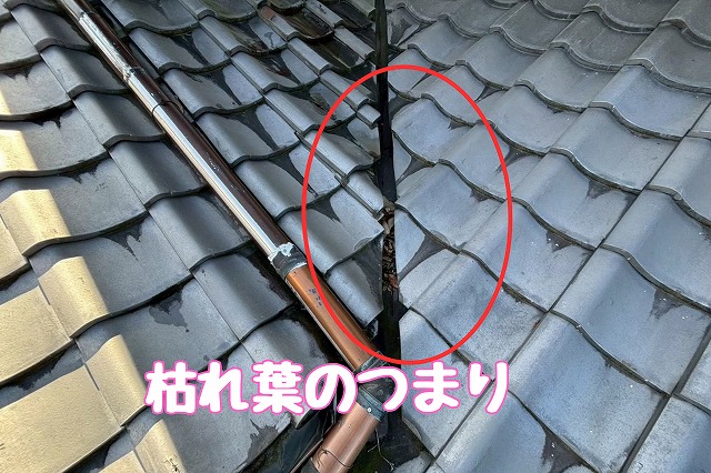 多治見市虎渓山　谷に枯れ葉のつまり