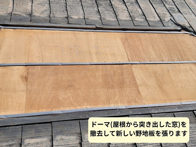 ドーマ周辺の下地補修