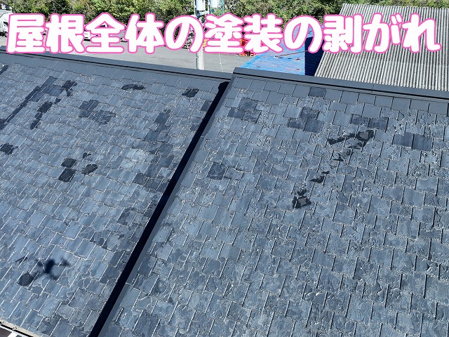 屋根全体の塗膜剥離