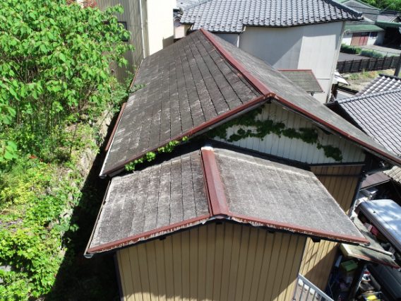 滝呂町　屋根に草