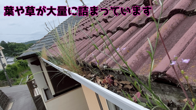 多治見市大薮町で雨樋掃除!土と草で詰まった排水を手作業でキレイにスッキリ大変身!