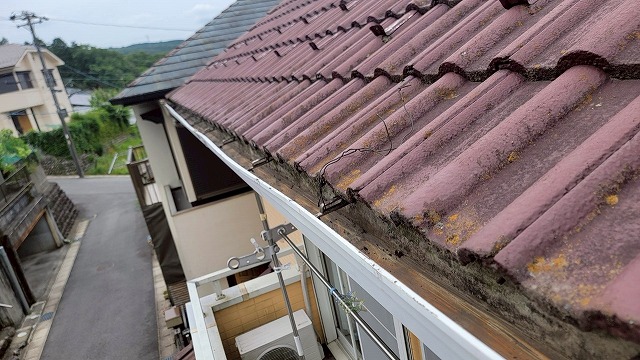 雨樋清掃後の住宅の屋根と雨樋の様子。清掃により詰まりが取り除かれ、草木や落ち葉がなくなりスッキリとした状態になっている。