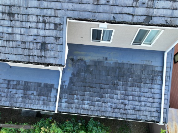 美濃加茂市 瓦の劣化