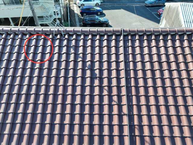 多治見市宮前町　瓦にこけ