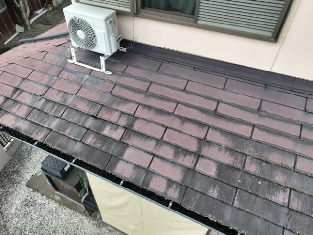 可児市土田　軒先に苔