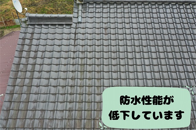 瓦屋根の色あせや雨だれによる劣化が見られる状態