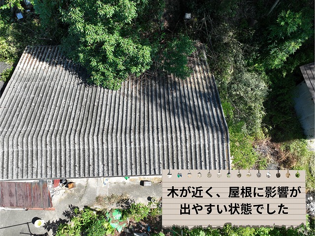 木の枝が近くまで伸びている波板屋根を上から確認した様子