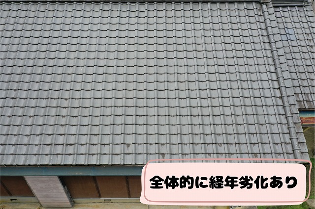 別面から見た瓦屋根全体に広がる経年劣化の様子