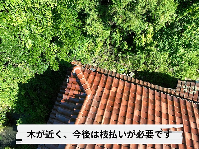 赤瓦屋根の上部と周囲の木々を上空から確認した様子