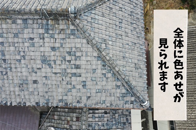 瓦屋根全体の劣化状況を確認した写真