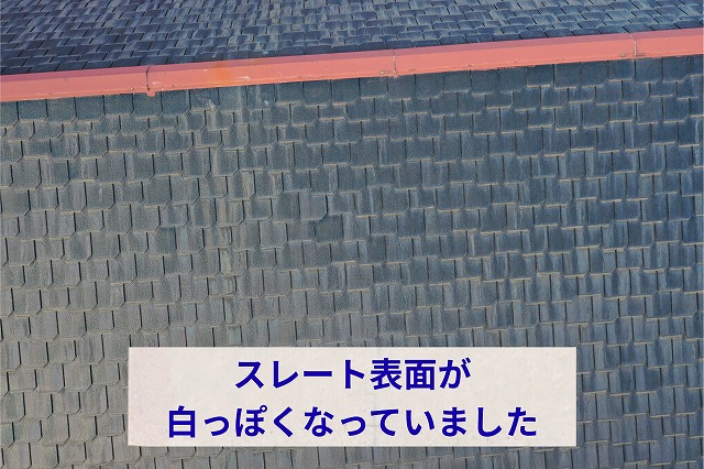 表面に白い筋が見られ、塗膜が劣化している様子
