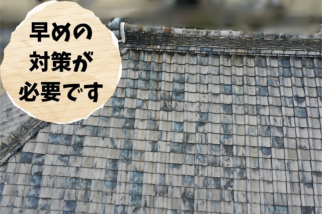 屋根全体を斜めから確認した写真