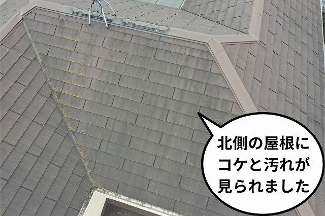 北側のスレート屋根を撮影した写真