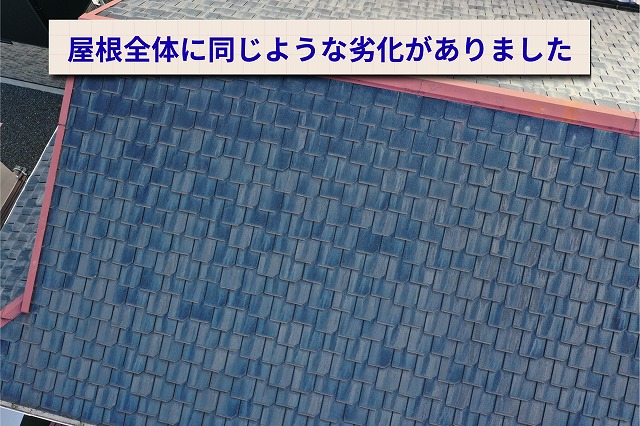 全体的に色あせと塗膜の劣化が見られる様子