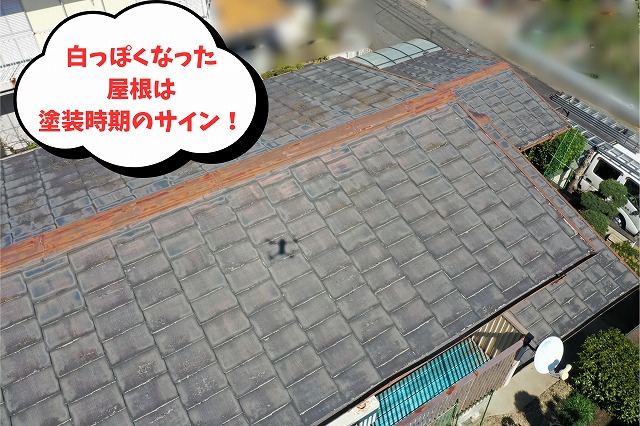 屋根全体が白っぽく変色し、防水性が落ちている状態