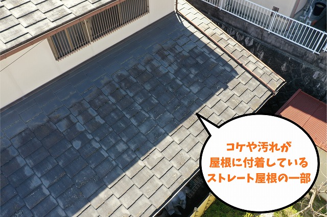 コケや汚れが付着しているスレート屋根の一部