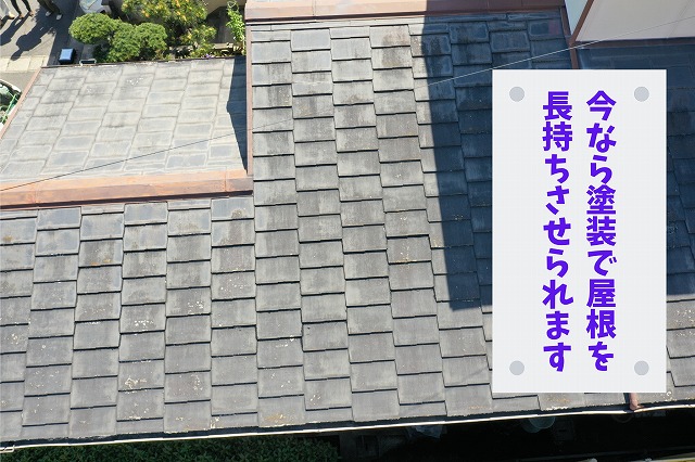 色あせが進んだ下屋根を斜め上から確認した様子