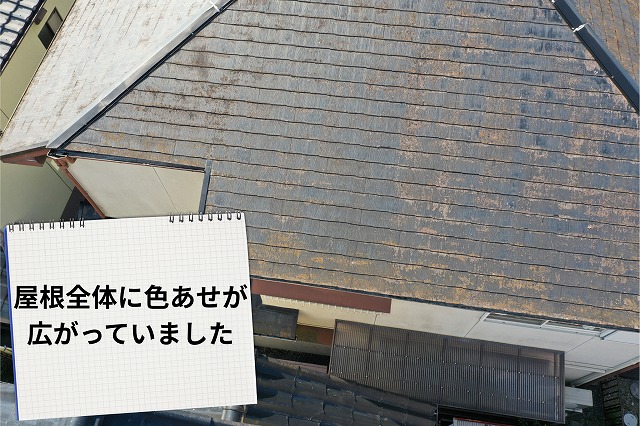 塗膜が薄くなり、色あせや劣化が見られる様子