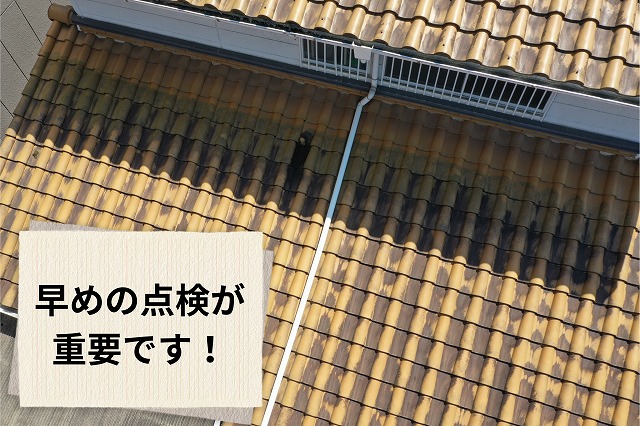 瓦屋根全体の状態確認