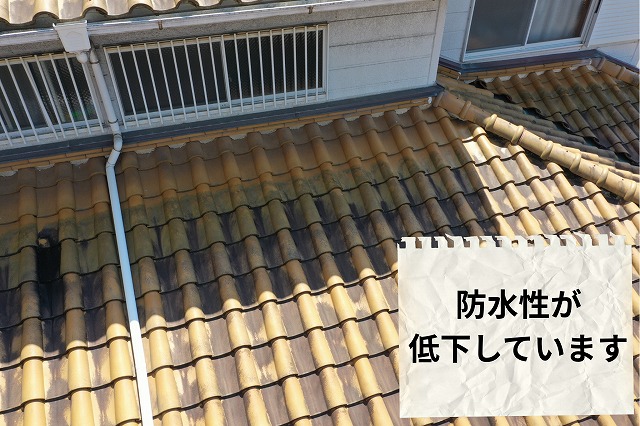 瓦表面の色ムラと劣化状態