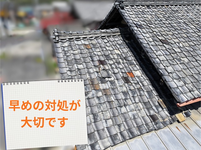 劣化と補修跡が混在する屋根の様子