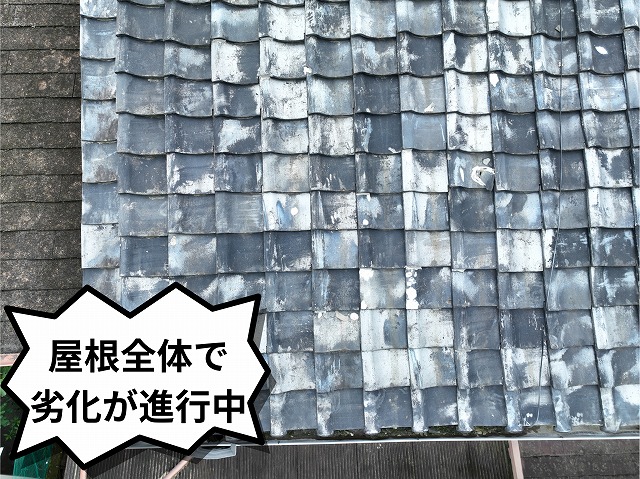 広範囲にわたり均一ではない劣化が進行している瓦屋根の全体状況