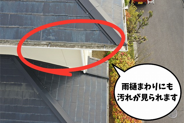 軒先と雨樋に汚れや色あせが見られる様子