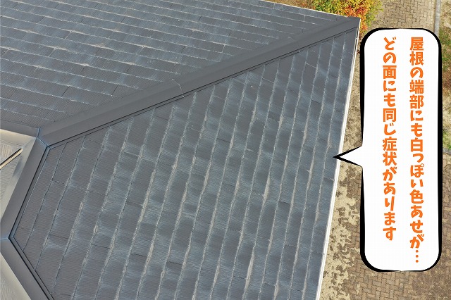 屋根の端部にも白っぽい色あせが見られる様子