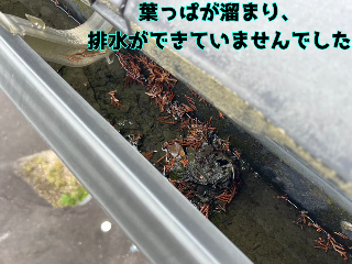 樋のごみがたまってる写真