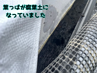 樋のネット