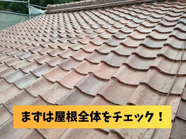 美濃加茂市にて瓦屋根の現地調査を実施！棟漆喰の劣化が複数箇所で見つかりました