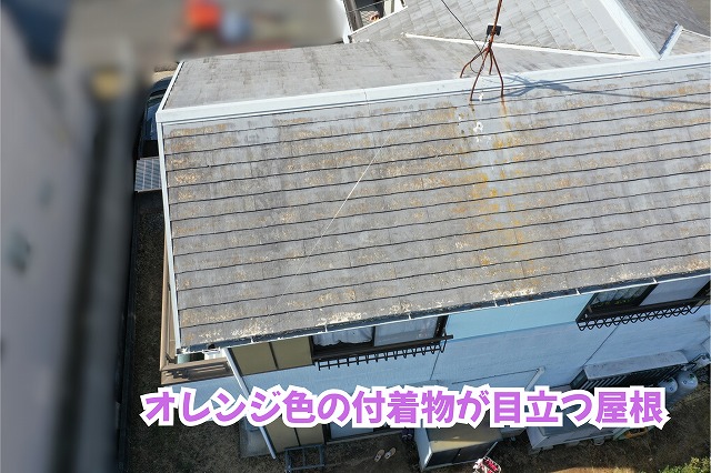 美濃加茂市のスレート屋根に広がるオレンジ色や茶色の付着物