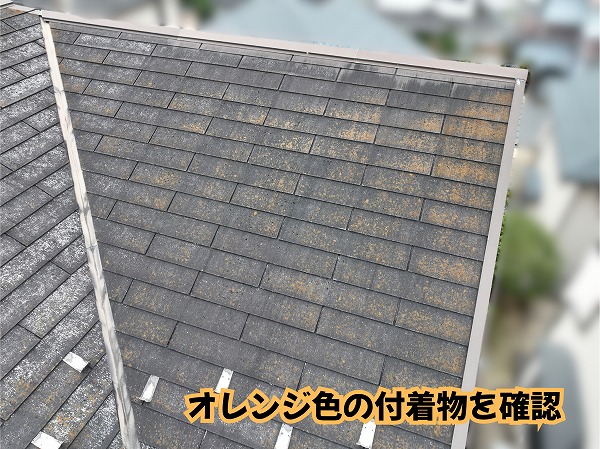 美濃加茂市のスレート屋根に広がるオレンジ色の付着物