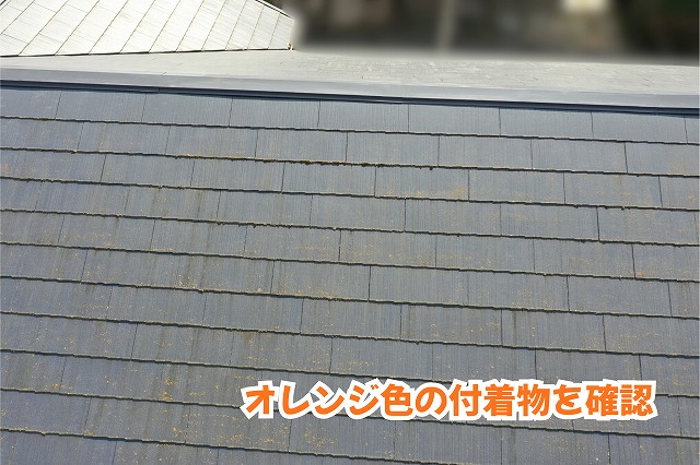 美濃加茂市のスレート屋根表面に見られるオレンジ色の斑点状の付着物