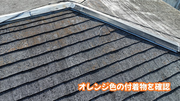 美濃加茂市のスレート屋根に見られるオレンジ色の付着物