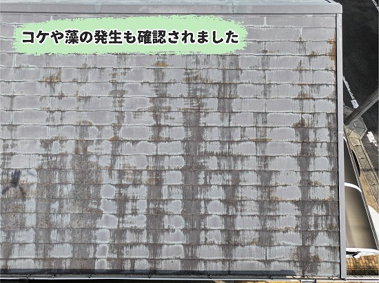 美濃加茂市のスレート屋根に発生したコケや藻の状況を確認