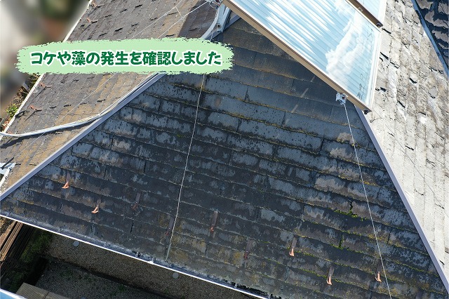 美濃加茂市のスレート屋根にコケや藻が発生している状況
