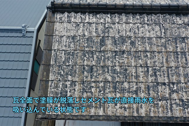 可児市にて瓦全面で塗膜が脱落しセメント瓦が直接雨水を吸い込んでいる状態
