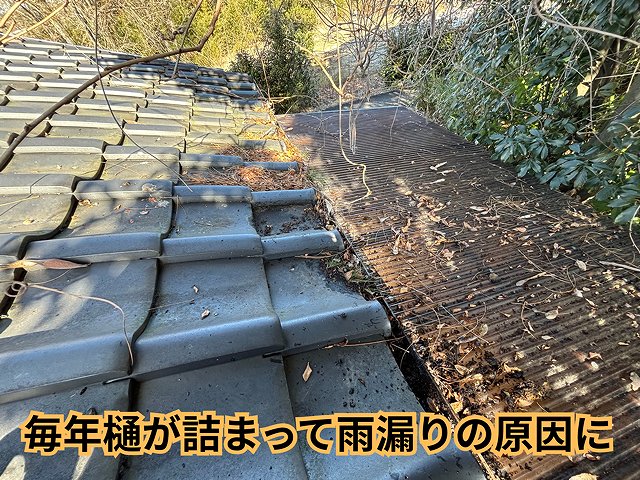 多治見市で雨とい点検と定期メンテナンス｜枯葉詰まり・雨漏りを防ぐ重要ポイント