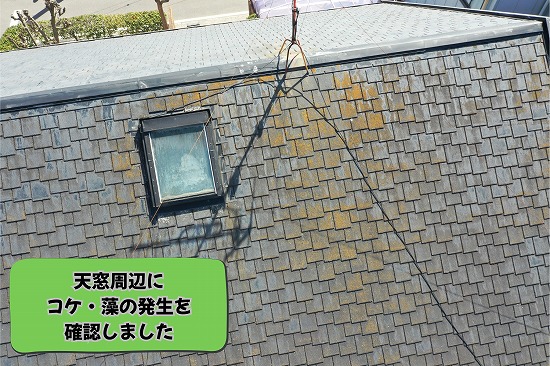 美濃加茂市にて天窓周辺のスレート屋根にコケや藻の発生を確認した様子