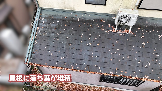 美濃加茂市のスレート屋根に堆積した落ち葉の様子