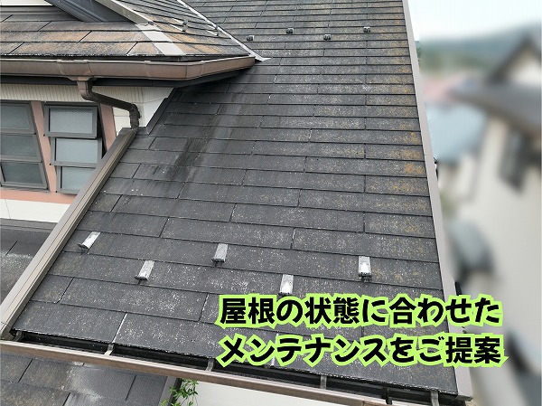 美濃加茂市のスレート屋根全体の劣化状況を確認した様子