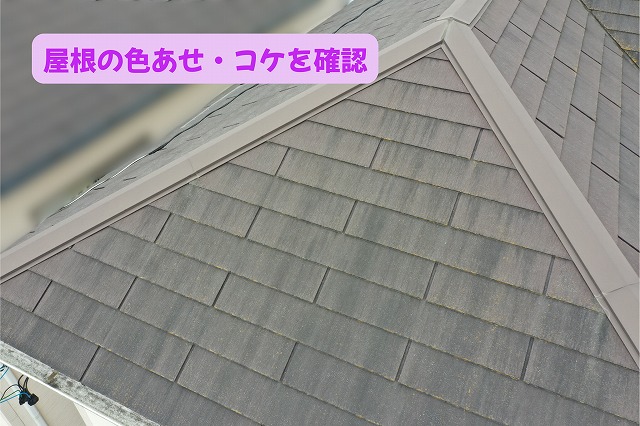 美濃加茂市のスレート屋根に見られる色あせとコケ・藻の付着
