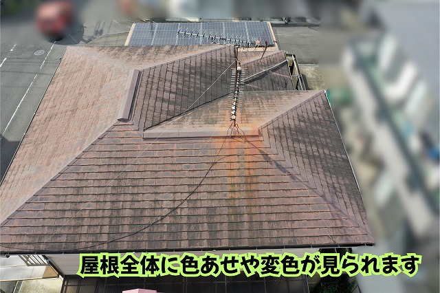 美濃加茂市の住宅で確認したスレート屋根の色あせや茶色い変色