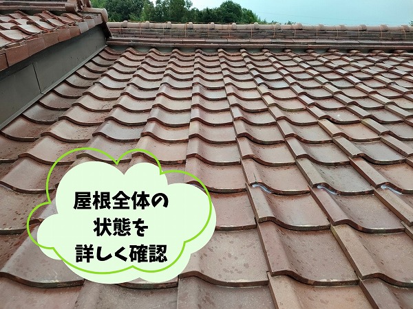 美濃加茂市にて別角度から確認した瓦屋根。棟部分を含めた現地調査の様子