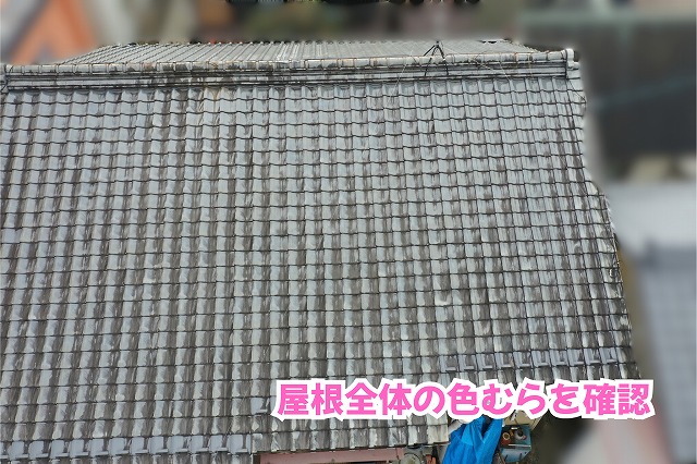 美濃加茂市の瓦屋根全体に見られる瓦の色むらや黒ずみの様子