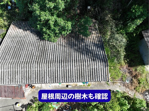 美濃加茂市の住宅で波板屋根と周辺の樹木を確認