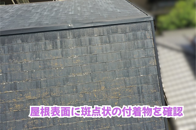 美濃加茂市のスレート屋根に色あせや斑点状の付着物を確認！天窓や取り合い部まで詳しく調査
